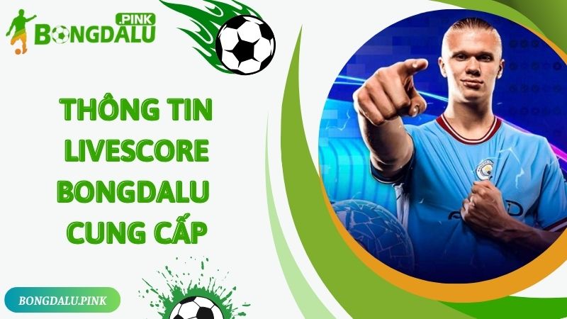 Các thông tin được cập nhật trong livescore Bongdalu